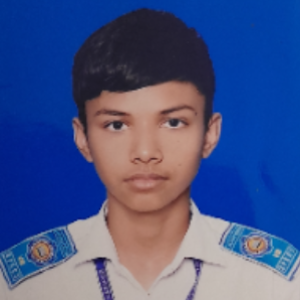 User Image