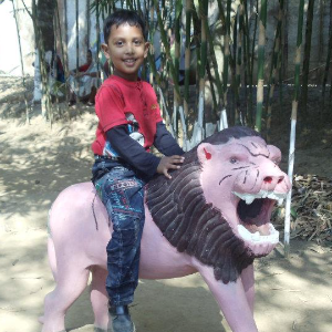 User Image