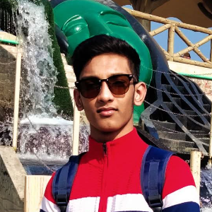 User Image