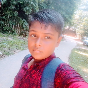 User Image